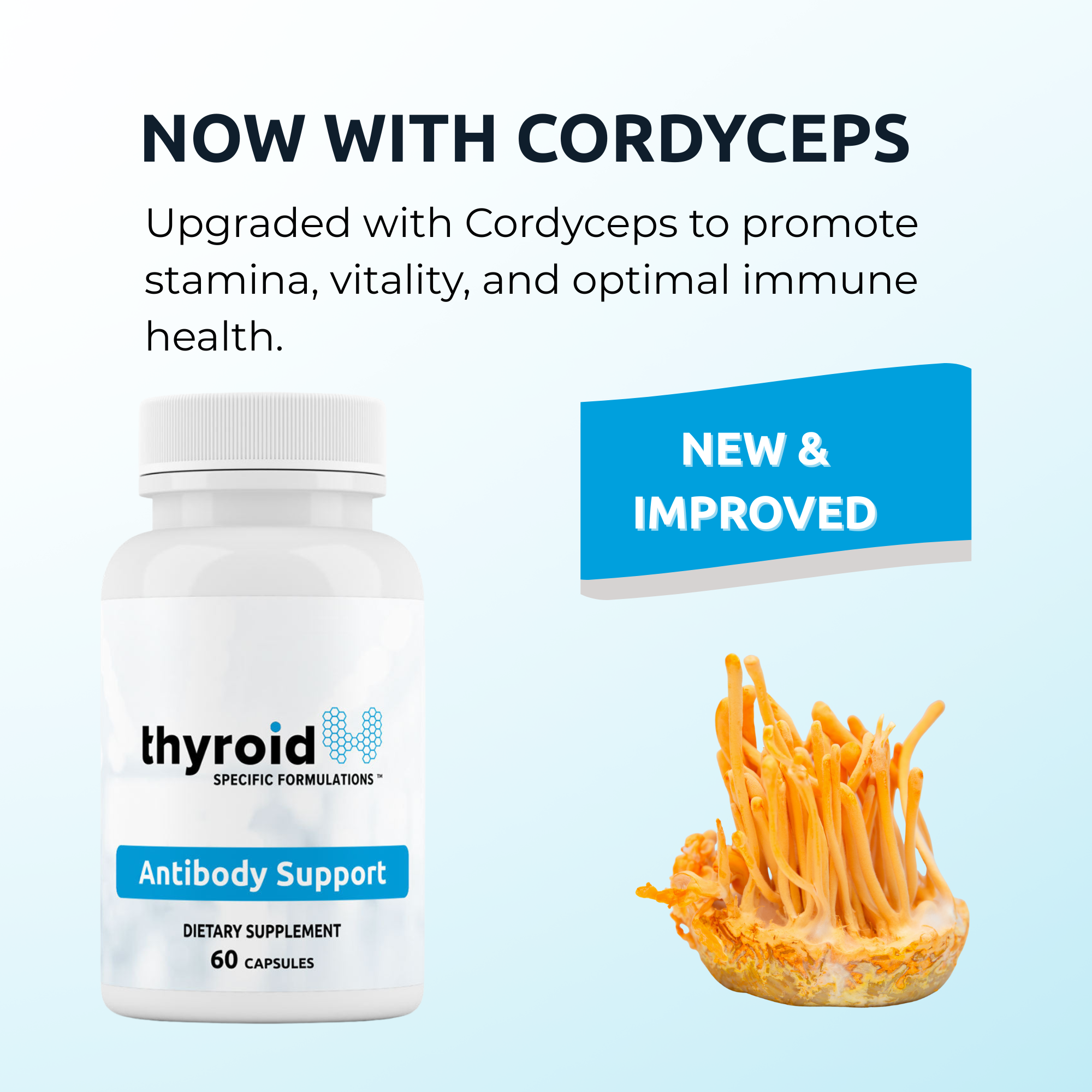 Antibody Support