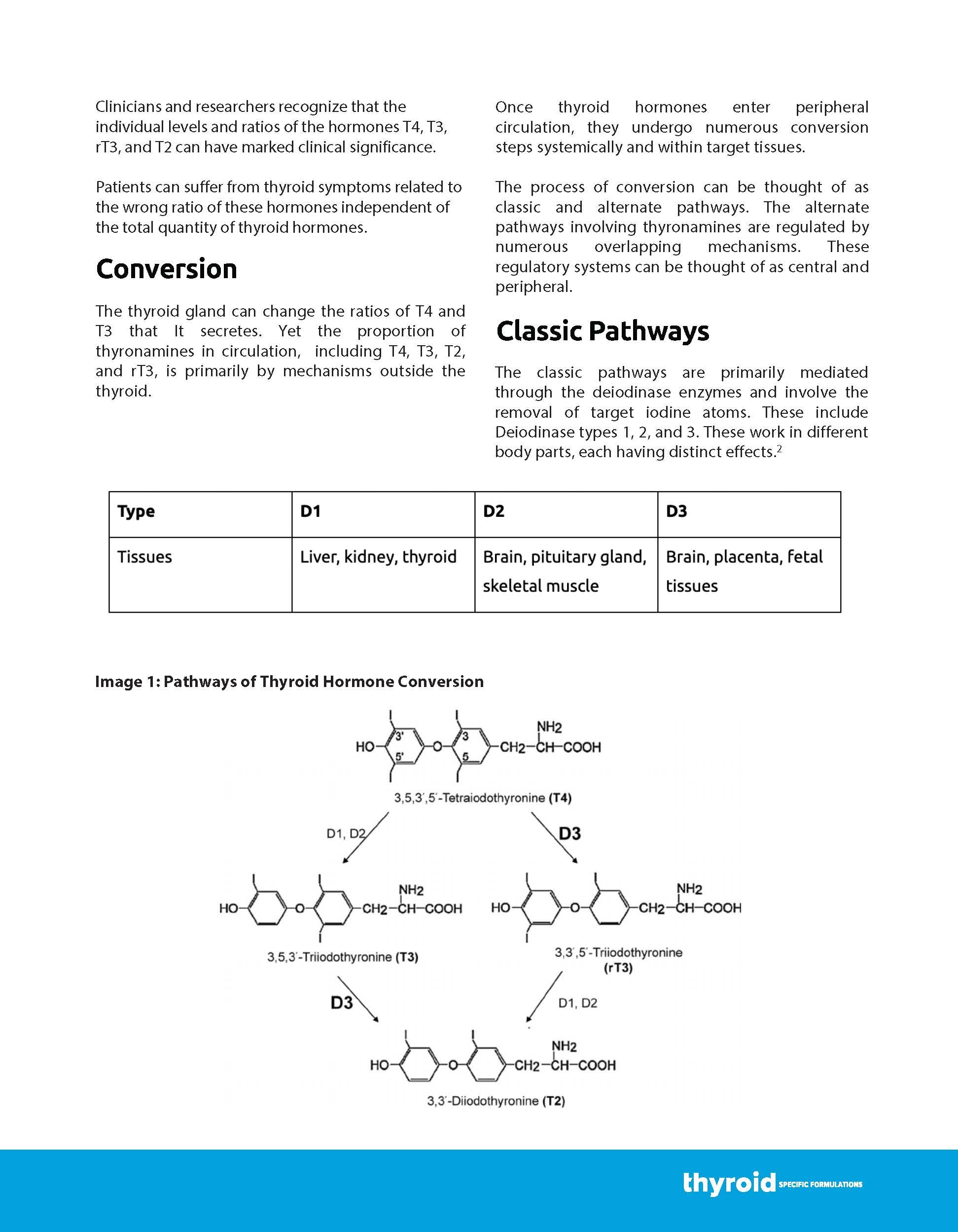 T2/T3 Converter